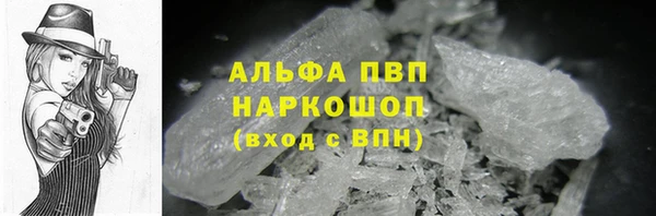 тгк Сатка