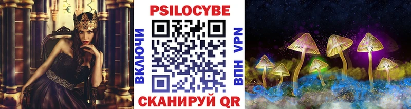 Галлюциногенные грибы Psilocybe  Арсеньев 