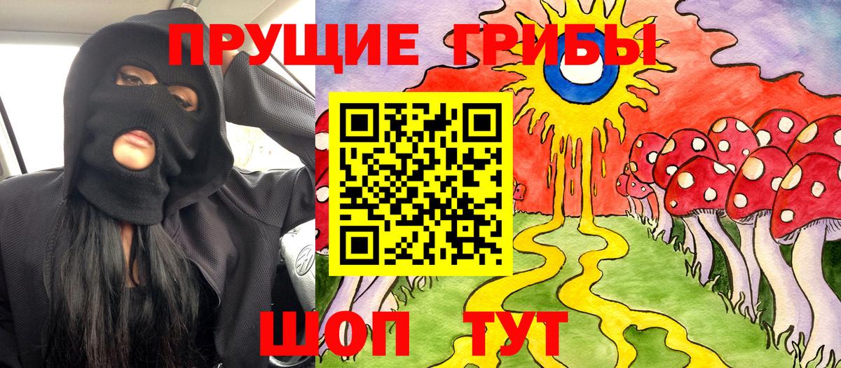 Арсеньев  где найти наркотики  Псилоцибиновые грибы MAGIC MUSHROOMS  Вход с VPN  Галлюциногенные грибы Cubensis 