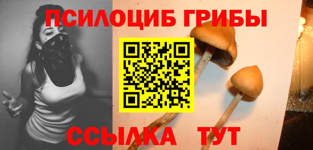 Галлюциногенные грибы MAGIC MUSHROOMS Арсеньев